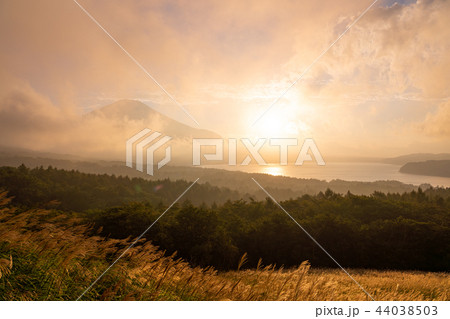 （山梨県）山中湖パノラマ台から、秋の富士山 44038503