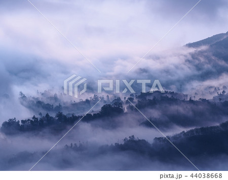 中国雲南省元陽・ 多依樹棚田 / Duoyishu Rice Terraces, Yuanyang 中国雲南省元陽・ 多依樹棚田 / Duoyishu Rice Terraces, Yuanyang 44038668