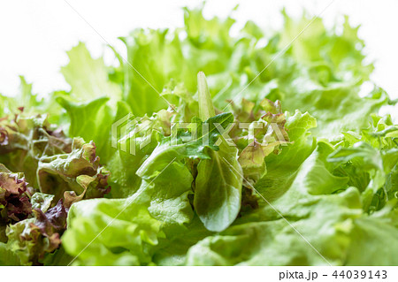 リーフレタスミックス 44039143