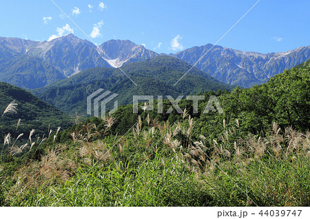 白馬岩岳山中腹から望む白馬三山 白馬岩岳山中腹から望む白馬三山 44039747
