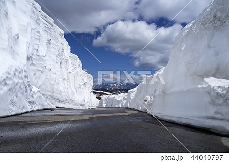 乗鞍高原　雪の回廊 44040797