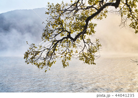 奥琵琶湖の朝 44041235
