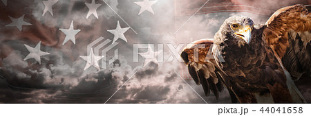 Composite image of eagle with spread wings 44041658