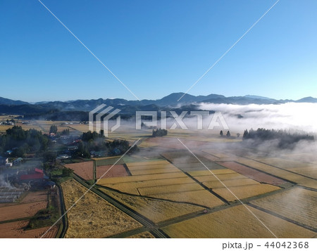 朝靄に包まれた秋の田園風景 44042368