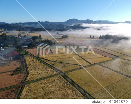 朝靄に包まれた秋の田園風景 44042370
