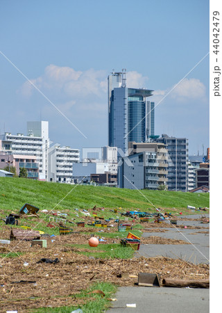 台風後 台風後 44042479