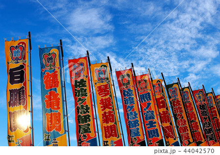 大相撲＿大幟旗 44042570