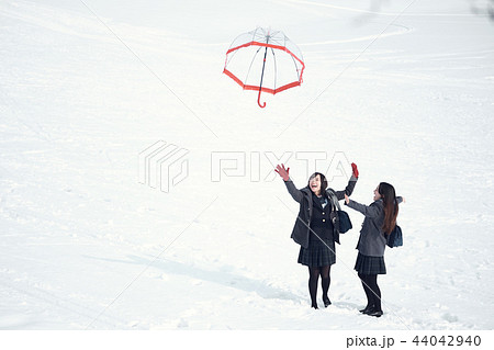 雪国の女子高生 44042940