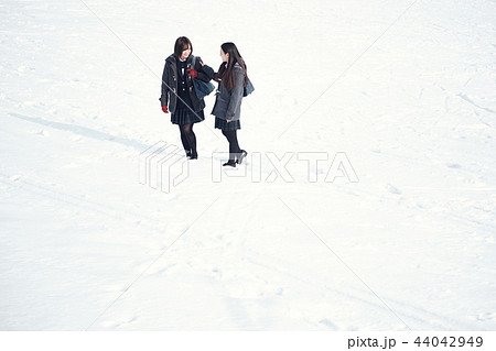 雪国の女子高生 44042949