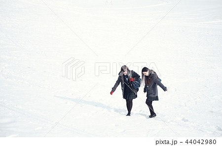 雪国の女子高生 44042980