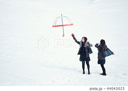 雪国の女子高生 44043025