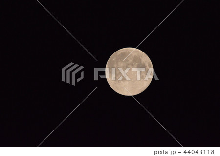 ストロベリームーン翌日の月(東京都立川市/2017年6月10日 00:29撮影) ストロベリームーン翌日の月(東京都立川市/2017年6月10日 00:29撮影) 44043118
