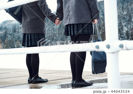 雪国の女子高生 44043534
