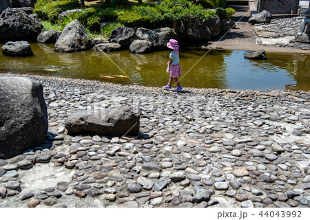 福井県　丸岡城　日本庭園の池　鯉に餌をやって遊ぶ少女 44043992