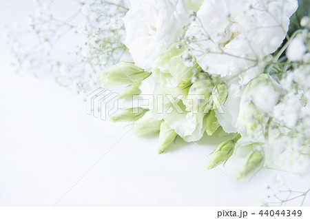 トルコキキョウ 花束の写真素材