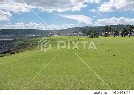 種差海岸 44044374