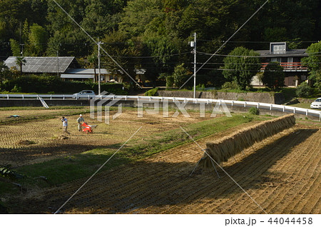 日野市倉沢の田園は 日野市倉沢の田園は 44044458