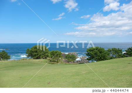 種差海岸 種差海岸 44044474