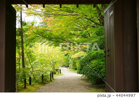 奈良・初秋の円成寺８ 44044997