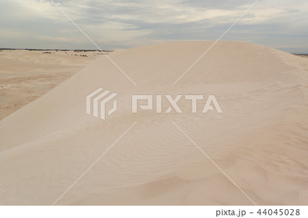 ランセリン砂丘 （西オーストラリア） 44045028