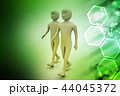 Two friends walk together 44045372