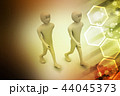 Two friends walk together 44045373