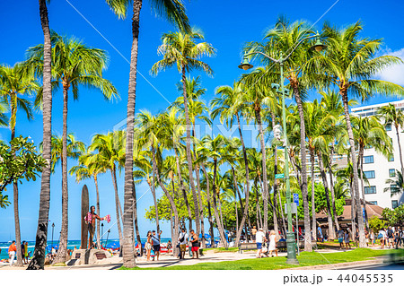 《ハワイ》ワイキキビーチ・デューク像前 44045535