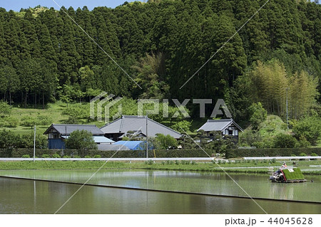 田植え 緑のイメージ 44045628