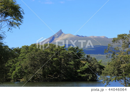 大沼公園（北海道） 44046064