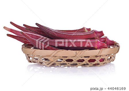 Red okra isolated on white background 44046169