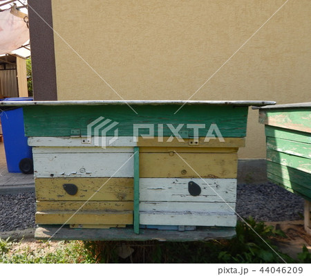 Honey beehives, honeycomb, honey extractor Honey beehives, honeycomb, honey extractor 44046209