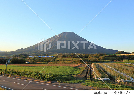 道の駅真狩フラワーセンター(北海道) 道の駅真狩フラワーセンター(北海道) 44046228