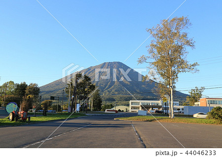 道の駅真狩フラワーセンター(北海道) 道の駅真狩フラワーセンター(北海道) 44046233