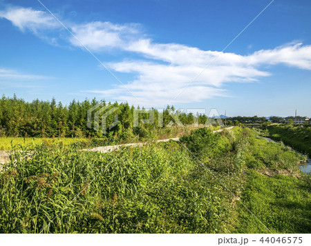 稲 完州郡 全北 44046575