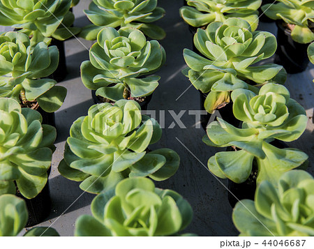 全北 完州郡 44046687