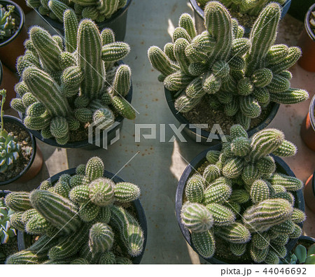 完州郡 全北 44046692