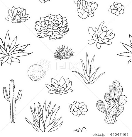 Succulent seamless pattern, sketch chalk style 44047465