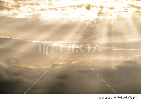 天使の梯子 44047897