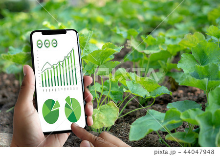 agriculture technology concept man Agronomist  44047948