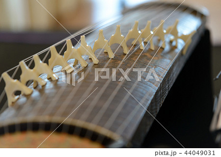 Koto - traditional musical instrument of Japan 44049031