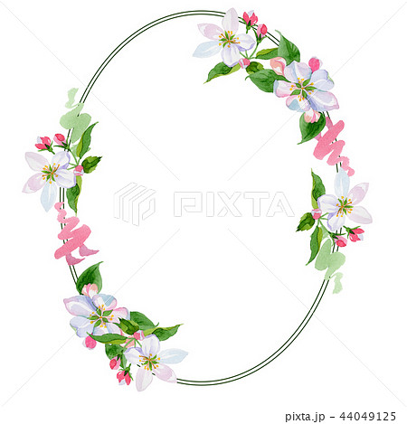 Watercolor apple blossom flower. Floral botanical flower. Frame border ornament square. 44049125