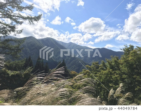 山とススキの風景 44049784