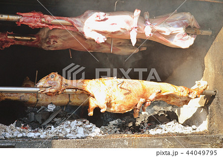 grilled lamb. roasted lamb grilled lamb. roasted lamb 44049795