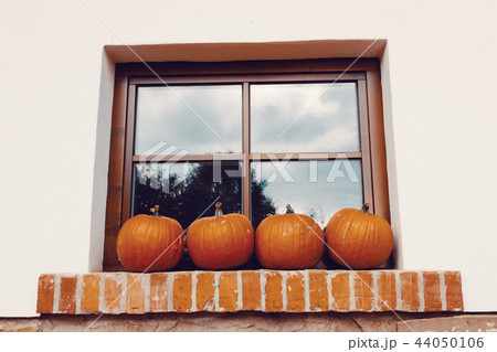 Ripe autumn pumpkins on the farm Ripe autumn pumpkins on the farm 44050106
