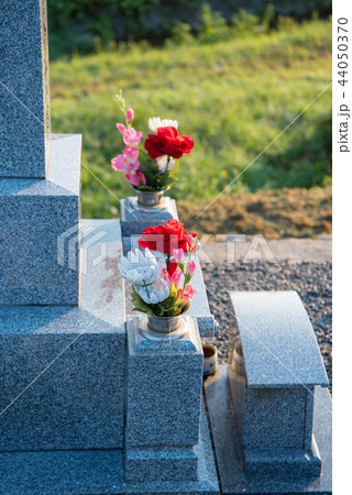 お墓にお供えされた仏花 44050370