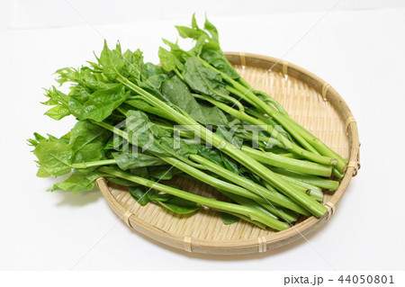 野菜　ツルムラサキ 44050801