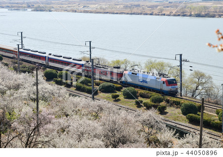 量産 川 河 44050896