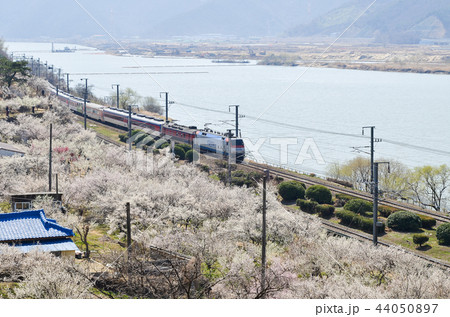 量産 列車 川 44050897