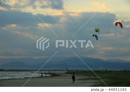 浜 海 干潟 44051193