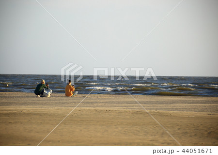 浜 海 干潟 44051671